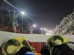 -长春莲花山滑雪场