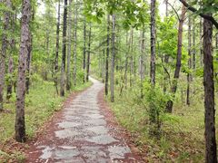 -帽儿山国家森林公园