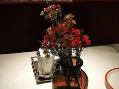 -阿妮叶李(光谷世界城店)