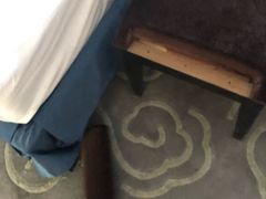 -深圳东部华侨城瀑布酒店