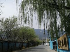 -阳台山自然风景区