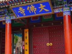 -张掖大佛寺景区