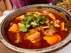 臭豆腐肥肠-云中小雅