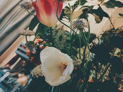 -Jo's Garden