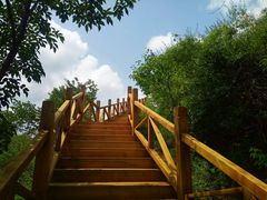 -大岭沟猕猴桃谷风景区