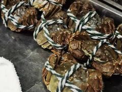 -金枝玉叶上海人家食府(三里河店)