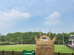 -嘉北郊野公园