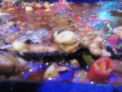 -鱼库·不仅是一家烤鱼店(车公庙店)