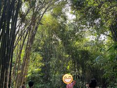 -望江楼公园