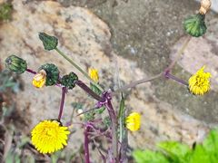 -舟山嵊泗列岛风景名胜区