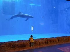 -华夏文旅海洋公园