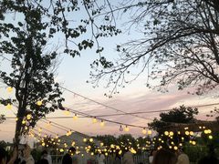 -安德鲁户外烧烤帐篷营地(马泉营店)