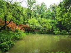-岳麓山风景名胜区
