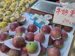 -黄埔古港