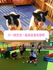 -萌宠亲子动物乐园(槐房万达店)