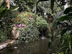 -郑州植物园
