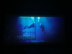 -山文星辉影城(济南和谐广场店)