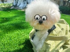 -牛坂亭 . 和牛烤肉海鲜酒场(工农路店)