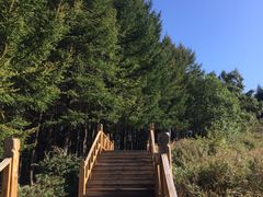 -驼梁风景区