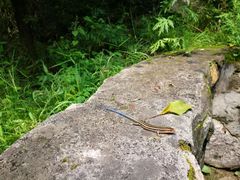 -碓臼峪自然风景区