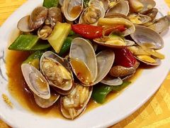 炒花甲-辉记潮汕海鲜砂锅粥(市桥店)