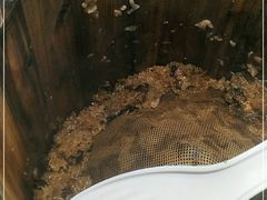 -素满香·素食自助餐厅(直营·大兴街店)