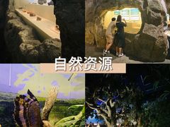 -广东省博物馆