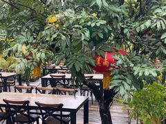-花溪雨·森林餐厅(石基店)