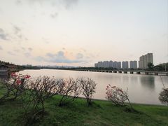 -安平桥