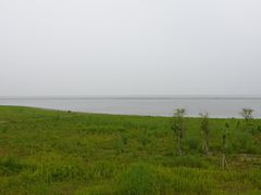 -合肥滨湖国家森林公园