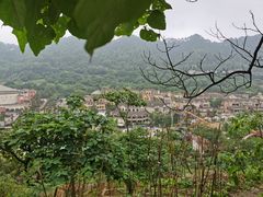 -重庆海昌加勒比海水世界