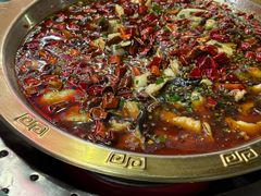-重庆火锅水库鱼庄(南油店)
