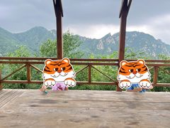 -大岭沟猕猴桃谷风景区