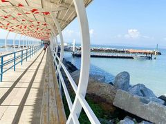 -放鸡岛生态旅游国际度假区