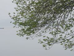 -东钱湖旅游度假区