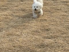 -comecome来吧宠物(奥克斯中心店)