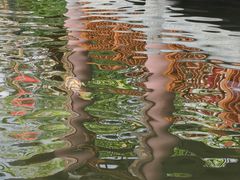 -香麒园·过桥米线·南湖雅宴