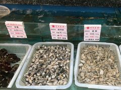 -宝燕壹号(徐汇店)