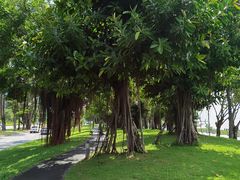 -同里国家湿地公园