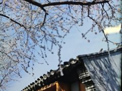 -春风习习