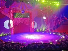 -珠海横琴长隆《卡卡虎奇遇记》