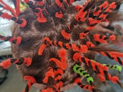 -艺采红鹰职业培训学校