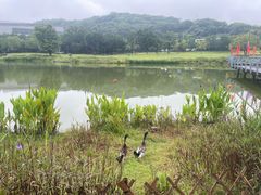 -牛岗山公园