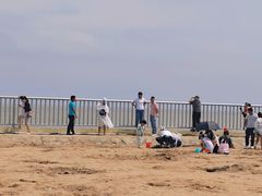 -奉贤海滩