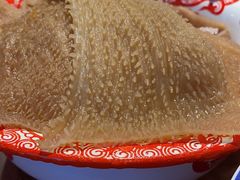 脆毛肚-楠火锅(仁恒梦中心店)