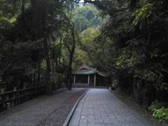 -鼎湖山风景区