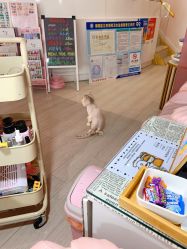 -Beauty Nails 美甲美睫皮肤管理