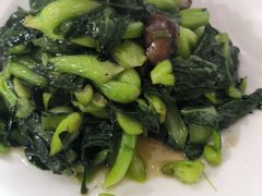 -品雅轩农家乐