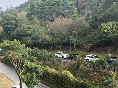 -深圳东部华侨城茵特拉根酒店