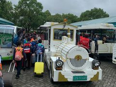 -上海海湾国家森林公园